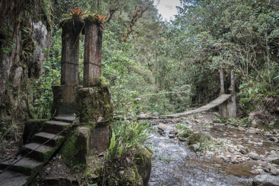 Trek in the Valle de Cocora, Colombia