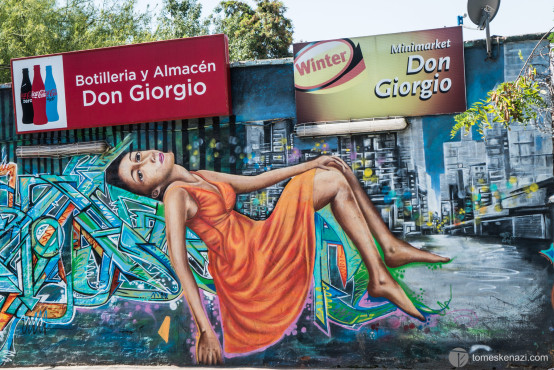 Street Art of Santiago de Chile.