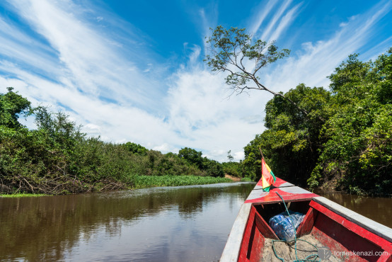 Cruising around the river, Pampas of Rurrenabaque, Bolivia