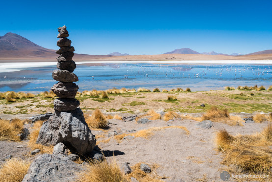 One of the amazing lagunas near the Chile border, Bolivia