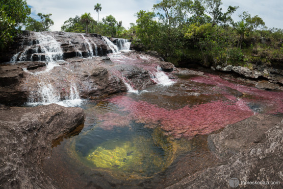 Cano Cristales, Colombia