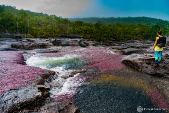 Cano Cristales, Colombia