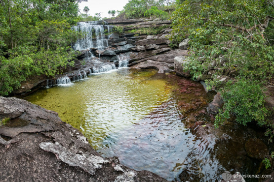 Cano Cristales, Colombia