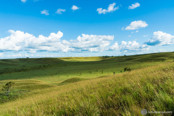 Clean landscape from short trek near La Macarena, Colombia