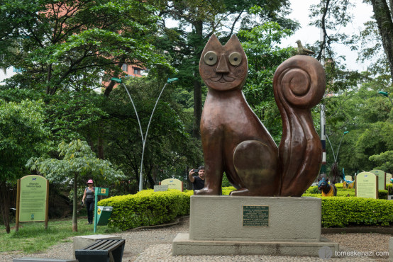 El Gato Del Rio, Cali, Colombia