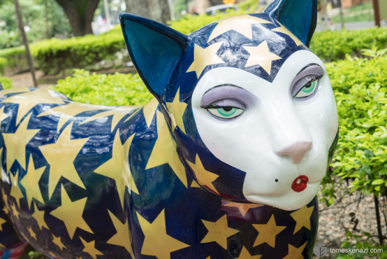 El Gato Del Rio, Cali, Colombia