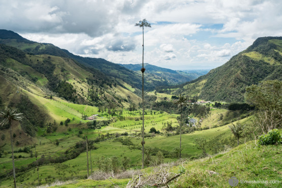 Valle de Cocora, Colombia