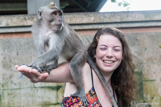 Playful Monkey (top left), Monkey Forest, Ubud, Indonesia