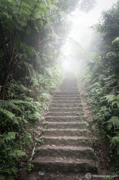 Towards the summit, numerous monkeys await on the road, Lempuyang Temple, Bali, Indonesia