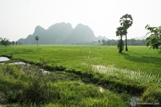 Rice Fields, Hpa-An Surroundings, Myanmar