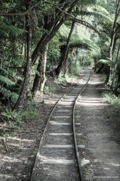Old Mining Track, New Zealand