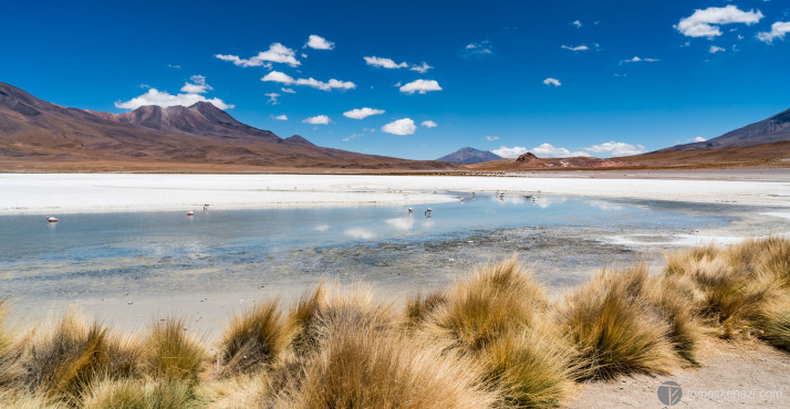 Laguna near Chile Border, Bolivia