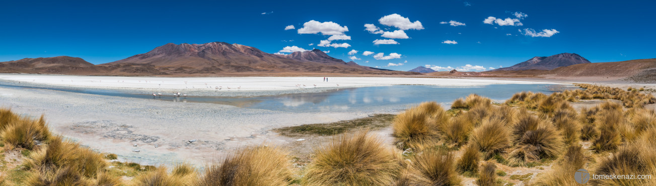 Laguna near Chile Border, Bolivia