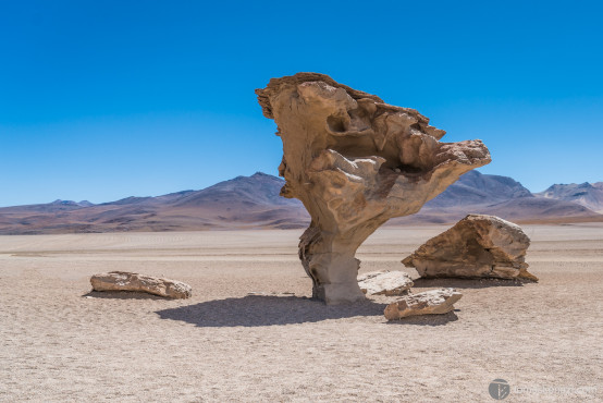 Arbol de Piedra, Reserva Nacional de Fauna Andina Eduardo Avaroa, Bolivia