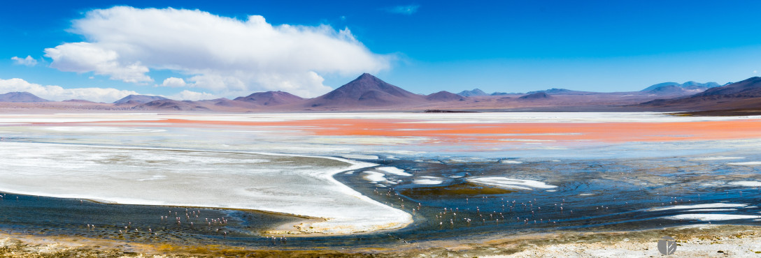Laguna Colorada, Uyuni/Potosi area, altitude 4280m, Bolivia.