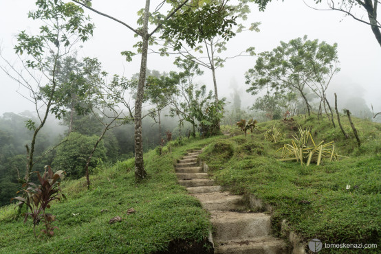 Cloud Forest, Hike to Cerro Chato, La Fortuna area, Costa Rica