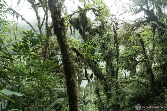 Hike to Cerro Chato, La Fortuna area, Costa Rica