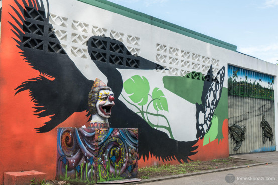 Wall art, Tortuguero, Costa Rica