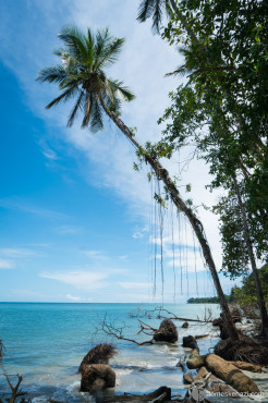 Cahuita National Park, Costa Rica