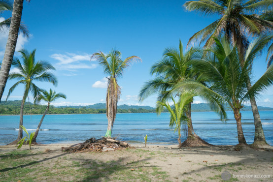 Caribbean Coast of Costa Rica, near Puerto Viejo