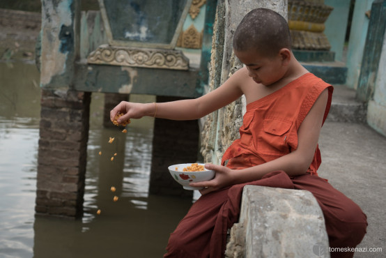 Child Monk feeding the fish, Old Bagan, Hsipaw, Myanmar