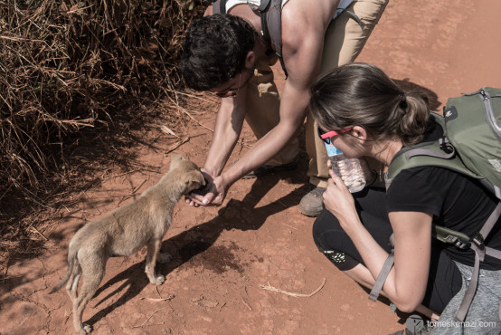 Julien & Jannick giving water to astray dog that decided to follow us in our trek