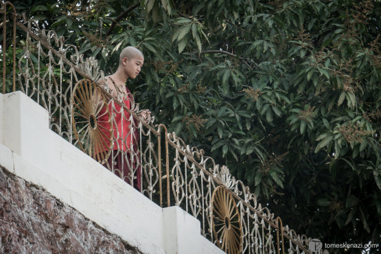 Young Monk, Hpa-an, Myanmar