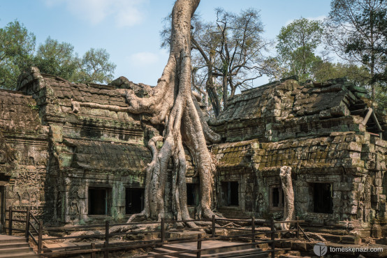 Ta Phrom, Angkor temple, Siem Reap, Cambodia