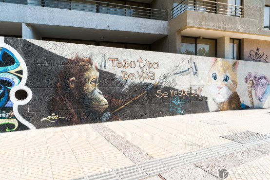 Street Art of Santiago de Chile.