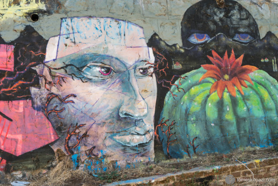 street Art of Valparaiso, Chile