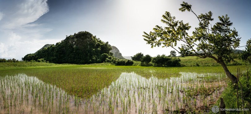 Vinales Area, Cuba