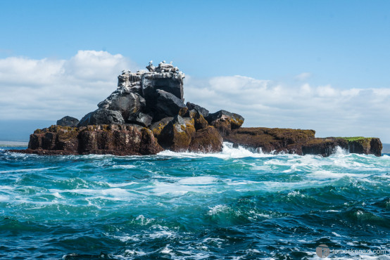 Union Rock, Galapagos