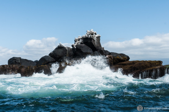 Union Rock, Galapagos