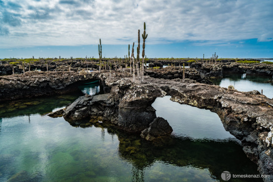 Los Tunneles, Galapagos