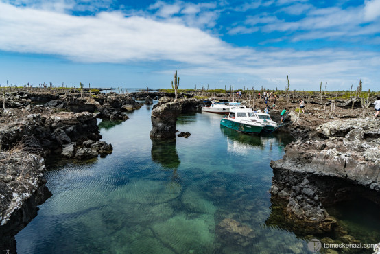 Los Tunneles, Galapagos