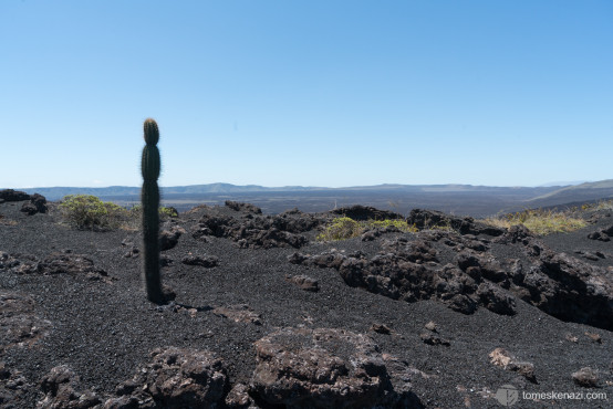 Mainland of Isabella Island, Galapagos