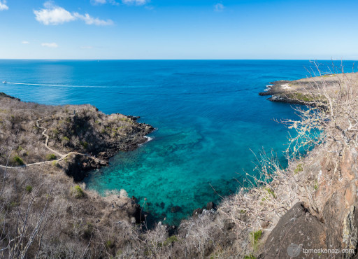 Galapagos