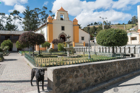 A dog is guarding that very small village on Quilotoa loop, Ecuador