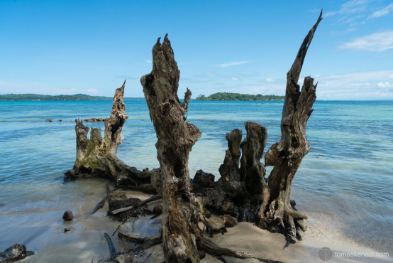 Playa Carenero, Bocas Del Toro, Panama