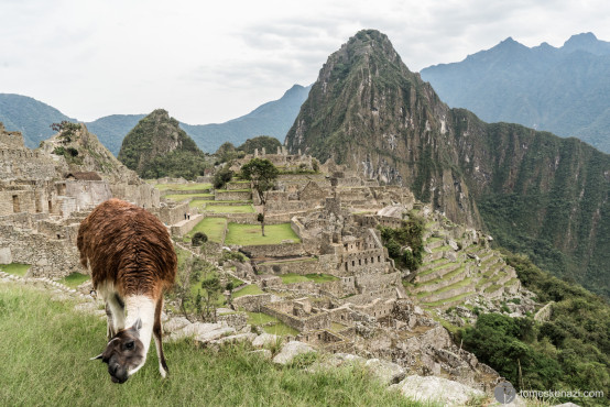 Machu Picchu, Peru