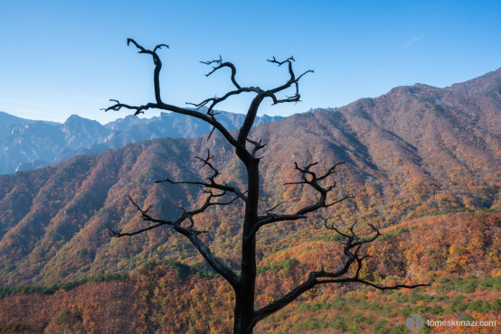 Seorakan national park