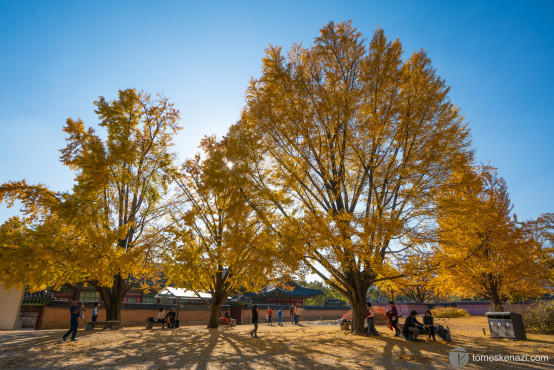 In Gyeongbokgung Palace, Seoul