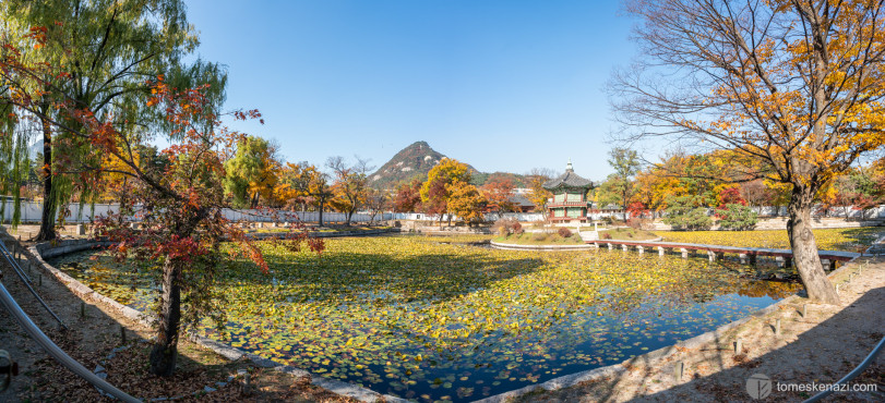 In Gyeongbokgung Palace, Seoul