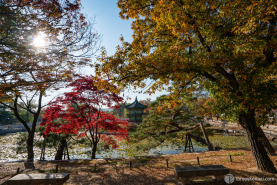 In Gyeongbokgung Palace, Seoul