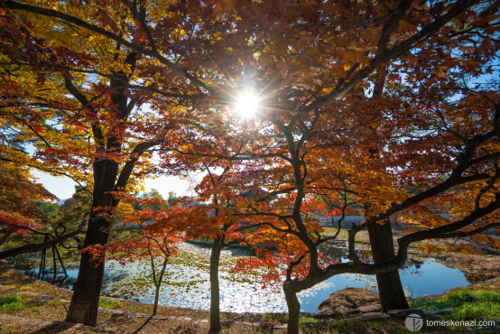 In Gyeongbokgung Palace, Seoul