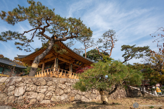 Bongeunsa Temple, Seoul