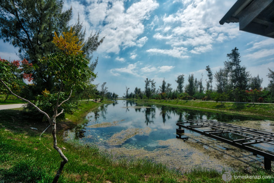 Another one from the Pipa lake in Taitung Forest Park, Taiwan.