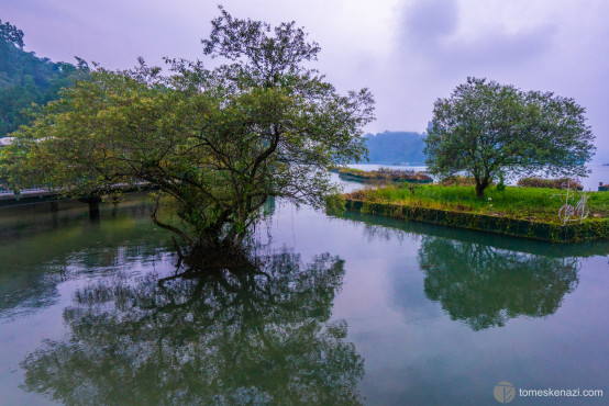 Tree reflections on the Sun Moon Lake after sunset, Taiwan.⠀